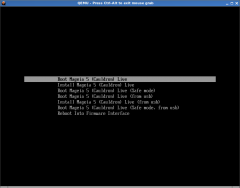 efi.png