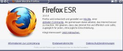 firefox_1.jpeg