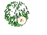 animiertes-feuerwerk-bild-0065.gif