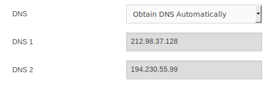 DNS-1.png