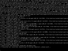 Cauldron_Netzinst-shot2.png