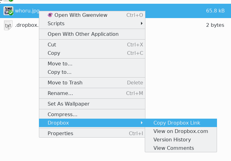 copyq-screenshot_20170730_174429-whoru.png