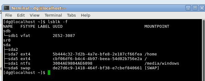terminal emulator output.png