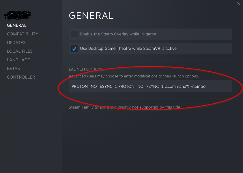 Launch options.png