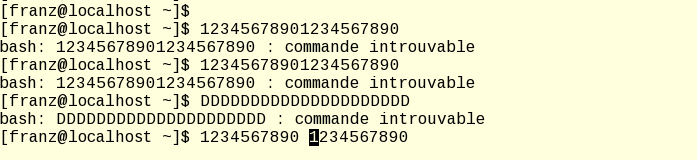 mageia3-Konsole-cursor-space.png