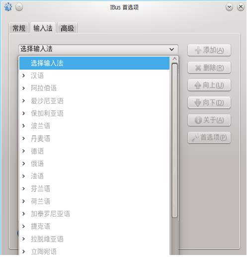 Ibus-setup.png