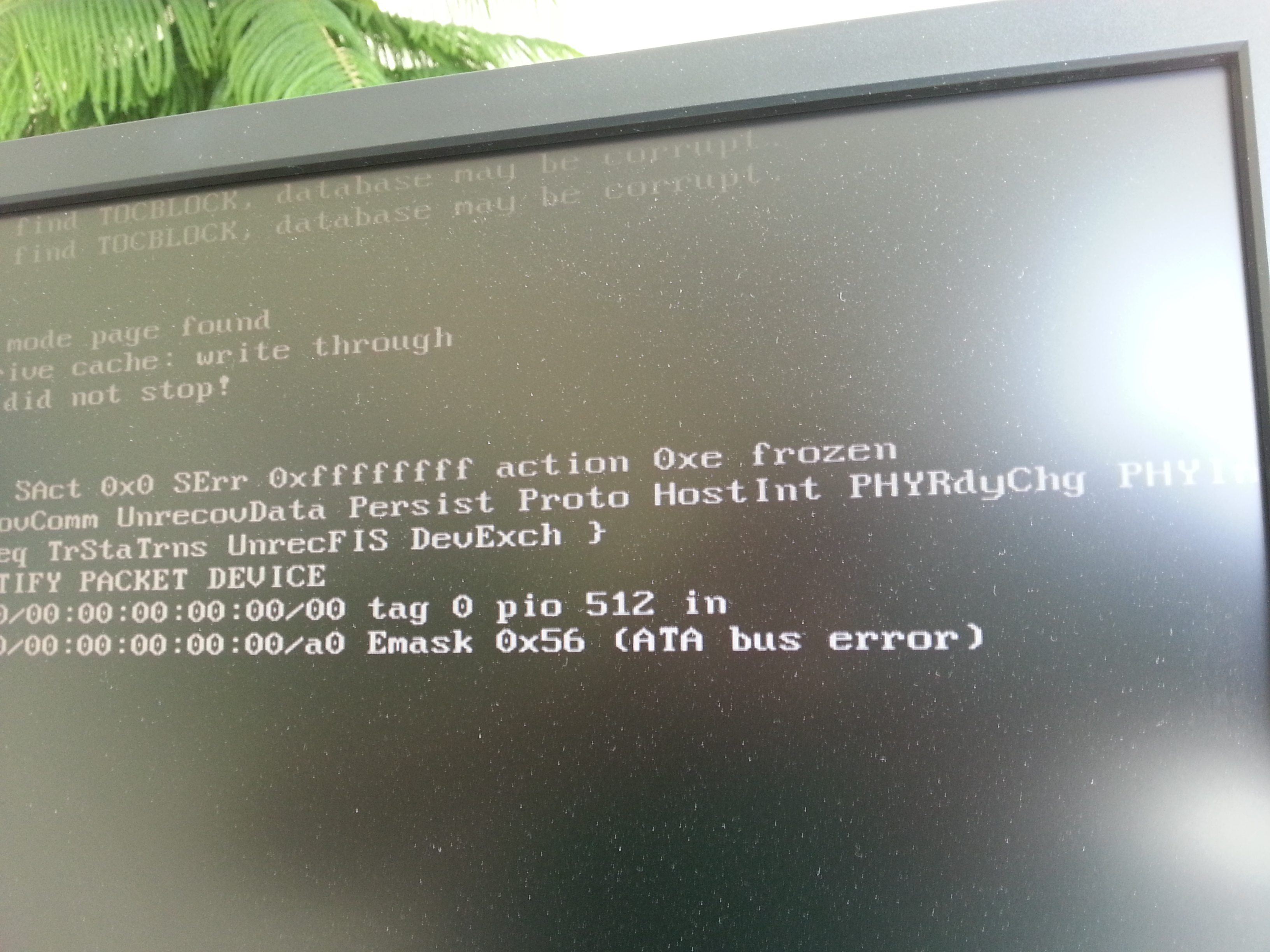 20140506_155313[1].jpg